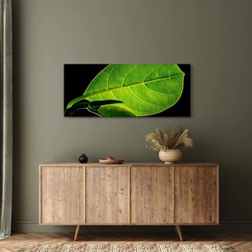 Tablou - frunză verde (120x50 cm)