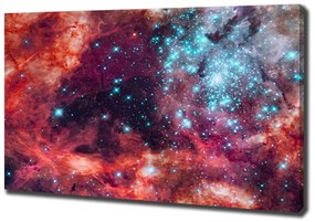 Tablou pe pânză Nor magellanic