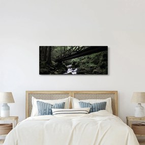 Tablou din pădurea neagră (120x50 cm)