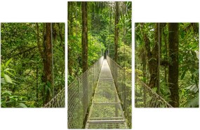 Tablou - Pod suspendat (90x60 cm)