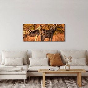 Tablou cu zebre (120x50 cm)