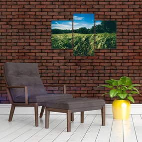 Tablou cu linca și pădure (90x60 cm)