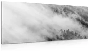 Tablou pădure în ceață în design alb-negru