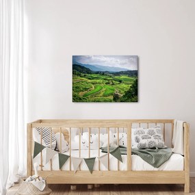 Tablou cu câmp de orez (70x50 cm)
