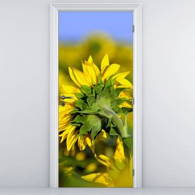 Fototapet pentru ușă - Floarea soarelui (95x205cm)