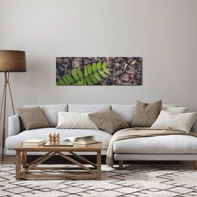 Tablou cu planta verde (cu ceas) (90x30 cm)