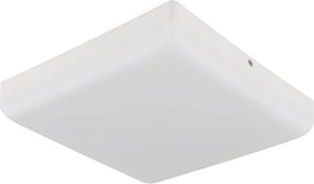 Plafonieră LED Globo 12388-18W MATTHEW LED/12W/230V alb
