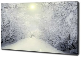 Tablou pe pânză canvas Pădure de iarnă frumos