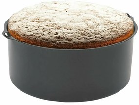 Tava pentru friteuza cu aer cald Rosberg Premium RP51980AB6, 15 cm, Otel carbon, Negru