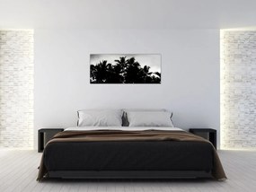 Tablou alb negru - palmieri (120x50 cm)