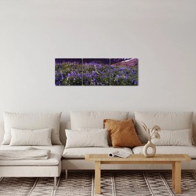 Tablou - Vulcan și flori (cu ceas) (90x30 cm)