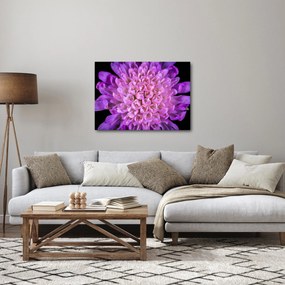 Tablou detailat cu floare (70x50 cm)