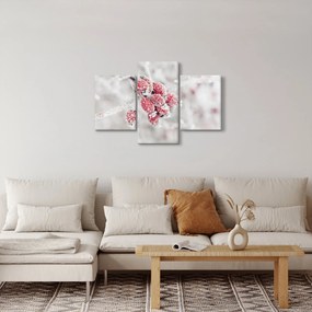 Tablou - Fructe congelate (90x60 cm)