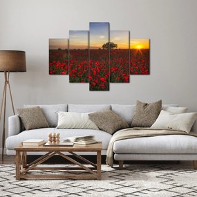 Tablou cu lunca și macii (150x105 cm)