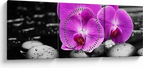 Tablou - Orhidee violet (cu ceas) (90x30 cm)