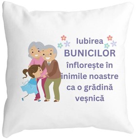Perna Decorativa pentru Bunici 2, 40x40 cm, Alba, Mata, Husa Detasabila, Burduf
