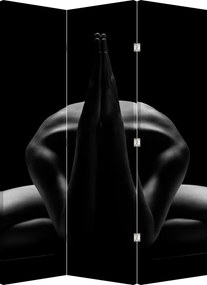 Paravan - Nud feminin (126x170 cm)