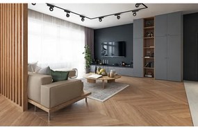 Spot LED pentru sistem de șină monofazic Rabalux 70108 LiTrack LED/5W/24V 3000K