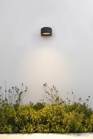 Proiector LED de exterior IP65 MUUR 250