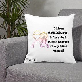 Cadou pentru Bunici - Perna Personalizata Iubirea Bunicilor Infloreste Cuplu Line Art Gradient, 40x40 cm, Alba Mata, Husa Detasabila, Perna Inclusa, BEKZ®