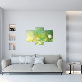 Tablou - Păpădie înflorită (90x60 cm)