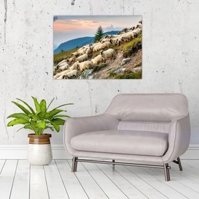 Tablou - O turmă de oi (70x50 cm)