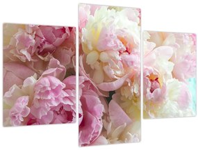 Tablou - Bujori (90x60 cm)