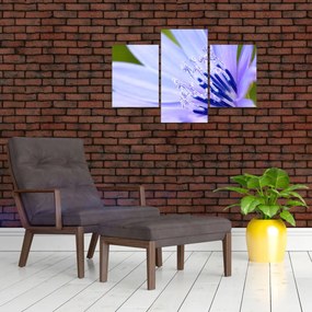 Tablou - Floare (90x60 cm)