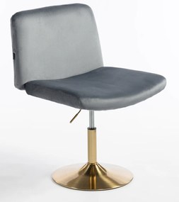 HR150N Scaun Grafit din Catifea cu Bază Aurie