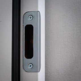 Usa Metalica de intrare in casa Turenwerke DS92 cu luminator lateral dublu DS92-05, 1620 X 2120, Stejar Auriu, 1.5 mm