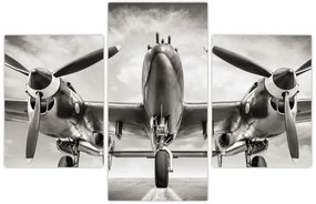 Tablou - Warbird (90x60 cm)