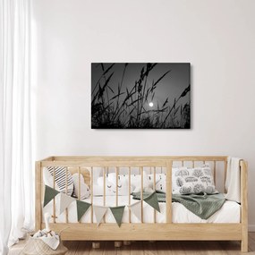 Tablou - Pajiște cu apus de soare (90x60 cm)