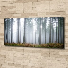 Print pe canvas Ceață în pădure