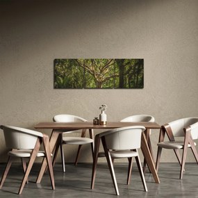 Tablou cu copaci (cu ceas) (90x30 cm)