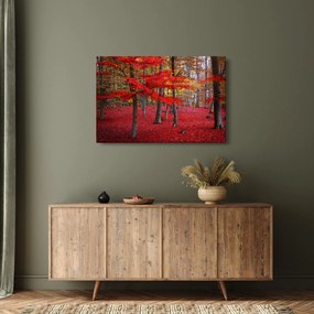Tablou - Pădurea roșie (90x60 cm)