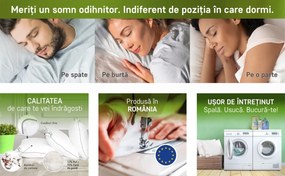 Perna Sleep by Green Future 10% puf gasca 90% pana de gasca, 70x70 cm