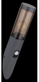 Aplică de exterior cu senzor BOSTON 1xE27/15W/230V IP44 Globo 3157SAS