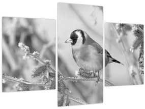 Tablou - O pasăre în timpul iernii (90x60 cm)