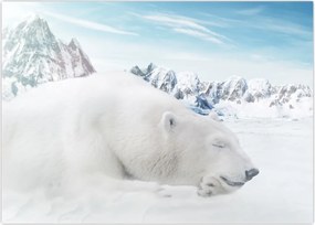 Tablou - Urs polar (70x50 cm)