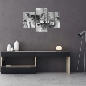 Tablou - Cerbi,alb-negru (90x60 cm)