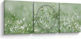 Tablou - Trandafir în iarbâ (cu ceas) (90x30 cm)