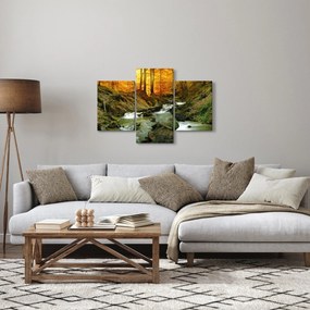 Tablou - Pădure (90x60 cm)