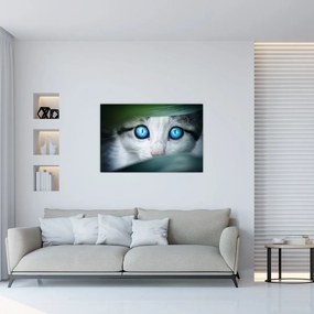 Tablou cu pisica (90x60 cm)