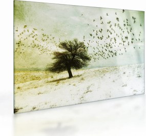 Tablou pe sticlă - cu multe păsări pictate (70x50 cm)
