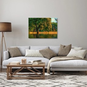 Tablou pe sticlă cu girafe în natură (70x50 cm)
