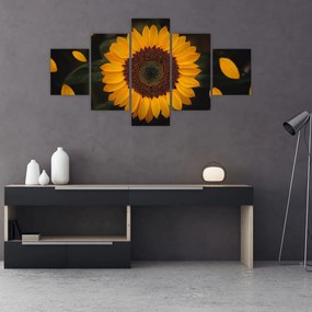 Tablou - Floarea soarelui și petale (125x70 cm), în 40 de alte dimensiuni noi