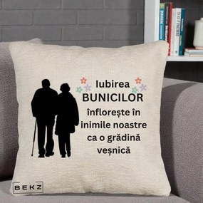Cadou pentru Bunici - Perna Personalizata Bunicii Iubirea Infloreste Silueta Neagra Flori, 40x40 cm, Bej Canapea, Husa Detasabila, Perna Inclusa, BEKZ®