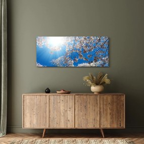 Tablou - Flori de cireș (120x50 cm)