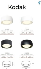 Spot LED aplicat tavan baie cu protectie IP44 Kodak II
