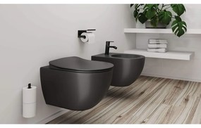 Vas WC Deante Peonia antracit